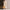 Damen Strickkleid mit eleganten Knopfdetails und Rundhalsausschnitt WW