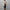 WW | Dash Petal Taille Tasche Faux Leder Hosen
