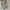 Damen Ballerinas mit flexiblem Obermaterial und rutschfester Sohle WW