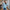 Damen Strickjacke mit verspieltem Erdbeermotiv und Knopfdetails WW