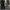 Damen elegante Zweiteiler-Set mit locker fallender Jacke und bequemen Hosen WW