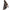 Damen Asymmetrisches Maxikleid mit elegantem Barockmuster und tiefem Schlitz WW