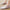 Damen bequeme und wasserdichte Badeschuhe WW