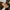 Damen Bequeme Wildleder Ballerinas mit Schleifendetail WW
