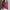 Damen Strickjacke mit V-Ausschnitt und praktischer Brusttasche WW