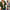 Damen Strickjacke mit grober Maschenstruktur und modernem Casual-Look WW