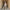 Damen Baggy Jogginghose mit kreativen Grafikdetails WW