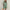 WW | Sommer Druck Shirt Shorts Locker Casual Zweiteiliges Set