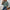 Damen Bequemer und stilvoller Oversized Pullover mit langen Ärmeln WW
