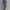 Damen Athleisure Set WW