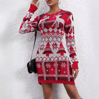 Damen Strickkleid mit festlichem Muster und Rundhalsausschnitt WW