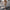 Damen Oversized Sweatshirt mit gestepptem Design und Komfort Fit WW
