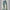 Damen weite High-Waist Jeans im Used-Look WW