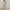 Damen Maxikleid mit floralem Design WW