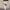 Damen Bequemes Lounge-Set aus locker sitzendem Oberteil und harem-artiger Hose WW