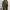 Damen V-Ausschnitt Strickpullover mit Oversize-Schnitt und Rippdetails WW