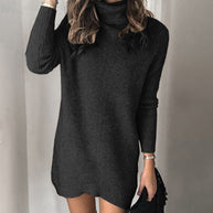 Damen Strickkleid mit hohem Kragen WW