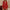 WW | V-Ausschnitt Bindeband Pailletten Taillenbetonender Schlankheits Abendkleid Kleid
