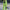 Damen Oversized Blazer und weite Hose Kombination WW