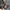Damen stilvolle Clogs mit hohem Plateau und rutschfester Sohle W&W