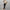 WW | Dash Petal Taille Tasche Faux Leder Hosen