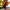 Damen Lange Plisseekleid mit asymmetrischem Schnitt WW