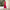 Damen Cut-Out Sommerkleid mit hohem Kragen WW