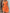 Damen A-Linien Kleid mit Spitzenmuster WW