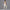 Damen Sportliches Bustier- und High-Waist-Leggings-Set mit nahtloser Konstruktion und atmungsaktiver Technologie WW