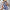 Damen Asymmetrisches Kleid mit Cut-Out-Details und floralem Design WW