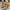 WW | Vintage Stiefeletten Mit Klobigem Absatz