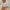 Damen lockerer Strickpullover mit V-Ausschnitt und floralen Applikationen WW