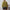 Damen Strickpullover mit stylischem Kragen WW