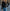 Damen Strickjacke mit floralen Applikationen und perlverzierter Detail WW
