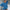 Damen bequemer Fleece-Cropped-Sweatshirt und Shorts-Mix WW
