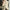 Damen Strickjacke mit strukturiertem Design und praktischen Taschen WW