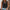 Damen Spitzentop mit raffinierten Details WW