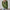 Damen Bequemer Strickpullover mit modischem Rundhalsausschnitt und farblich abgesetzten Details WW