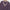 Damen Strickjacke mit V-Ausschnitt und kontrastierenden Details WW