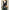 Damen Strickweste mit Knopfdetails und tiefem V-Ausschnitt WW