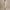 Damen elegantes, figurbetontes Rüschendes Abendkleid W&W