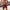 WW | Herren-Shorts