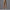 Damen Rad-Shorts mit hohem Bund und praktischen Seitentaschen WW