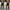 Damen Eleganter Blazer-Hosenanzug im modischen Leopardenmuster WW