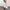 Damen Strickjacke mit V-Ausschnitt und feinen Knopfdetails WW