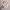 Damen elegante Ballerinas mit schickem Obermaterial und komfortabler Sohle W&W