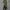 Damen asymmetrisches Longshirt mit eleganter Wickeloptik WW