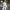 Damen sportlicher Velours-Loungewear-Anzug mit breiten Hosen WW