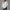 Damen lässiges Oversized T-Shirt mit weitem Schnitt und stylischem Rundhalsausschnitt WW