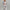 Damen Sportliches Crop-Set mit Kapuze und Zip WW